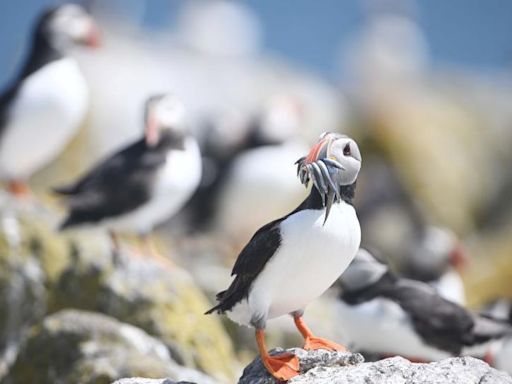 Your pictures of Scotland: 28 June - 5 July