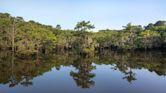 Caddo Lake State Park