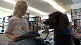 Therapy dogs help children overcome reading anxiety in California - WSVN 7News | Miami News, Weather, Sports | Fort Lauderdale
