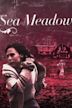 Sea Meadow