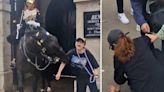 Tourist keels over after being bitten by King's Guard horse in London