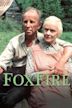 Foxfire