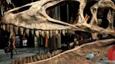 Una exposición en Miami muestra todo de los "exóticos" dinosaurios del sur