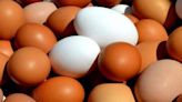 ¿Por qué los huevos de color son más caros que los blancos? - La Tercera