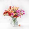 Thoughtfully curated arrangements featuring flowers that are in season. These arrangements capture the essence of the current season, whether its the vibrant blooms of summer, the warm tones of autumn, or the festive spirit of the holidays.