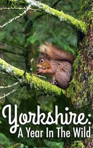Yorkshire: A Year In The Wild