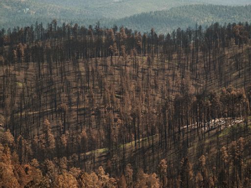 A post-fire ‘nightmare’ in New Mexico: Eight floods in four weeks