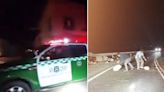 Evacuaba a su familia: Confirman un muerto en medio del fuerte sismo que remeció al norte de Chile