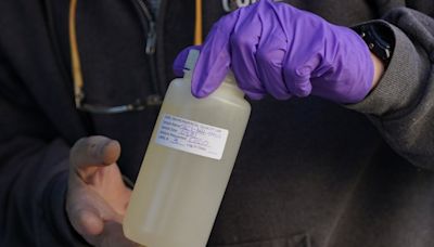 'Incredibly disappointing': Ontario halts wastewater testing for COVID, other viruses