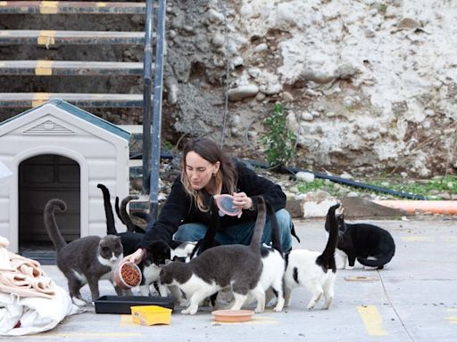 Mi mascota y yo: La heroína de los gatos callejeros - La Tercera