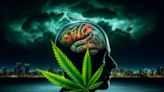 Startling Study: Teen Cannabis Use Linked to 11x Higher Psychosis Risk