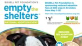 Jacksonville Humane Society reducing adoption fees through May 15