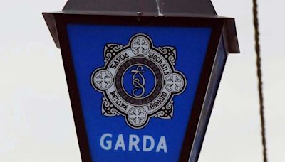 Man, 70s, killed in single-vehicle crash in Kilkenny