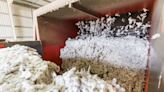 Namoi Cotton Urges Shareholders to Reject Louis Dreyfus Takeover