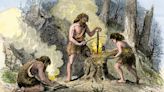 Forget the paleo diet fad – study shows cavemen dined on plants
