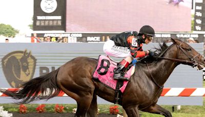 Equibase Analysis: The Chosen Vron Hopes to Repeat in Del Mar's Bing Crosby Stakes