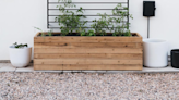 Elevate Your Outdoor Sanctuary With These Gorgeous Garden Trellis Ideas