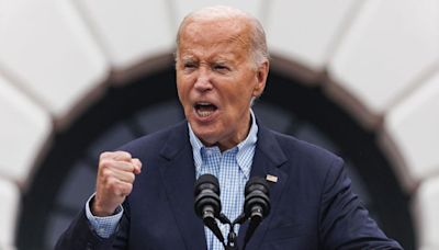 Democrats weigh risks and rewards of losing Biden