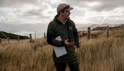 ‘We’ve Got to Kill’: Inside New Zealand’s Mission to Wipe Out Predators