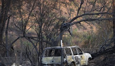 At least 20 animals sheltered from Watch Fire burning on San Carlos Reservation east of Globe