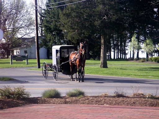 One dead, six injured after pickup truck hits Amish buggy in Virginia