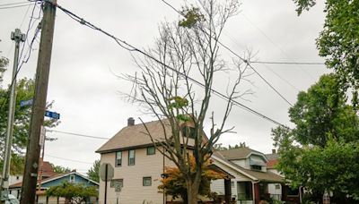 With Tens of Thousands Across Cleveland Still Without Power, Residents Scramble for Food, Places to Stay, Medical Help