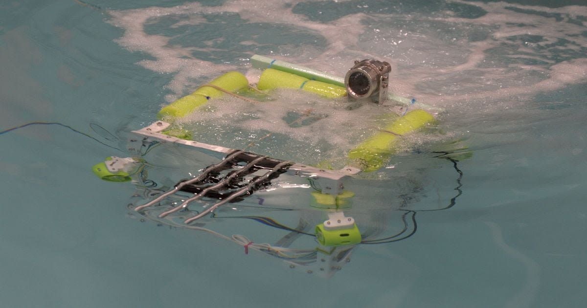 Cedarville senior, team builds underwater robot