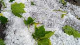 Nouveaux orages ce lundi à l’est : risque de grêle et de dégâts notamment dans les vignes et champs de blé