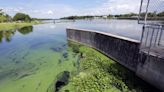 State officials warn of algae blooms and their toxins