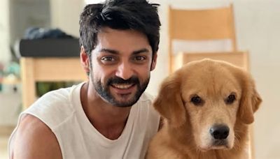 Raisinghani vs Raisinghani actor Karan Wahi's paw-some moment with his furry friend will melt your heart instantly