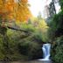 Geroldsau Waterfall