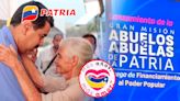 Bono Abuelos y Abuelas de la Patria 2024: consulta, registro y MONTO