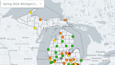 Safety grades declined for 16 Michigan hospitals. How did yours score?