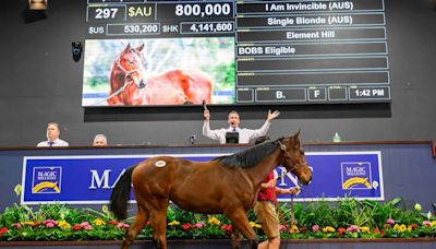 Hill ‘n’ Dale jump into weanling market with A$800,000 I Am Invincible filly