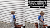 Hearts melt as 3-year-old tries to grow cheeseburger tree—"Childhood magic"