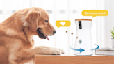 Last Chance to Score 50% off the Viral Furbo Pet Camera for Amazon Prime Day