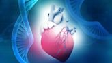 Allen Institute's cell lines could lead to new drugs for hypertrophic cardiomyopathy