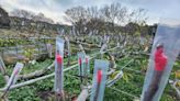 桃園農業局長視察農園、畜牧場及養殖場 全面啟動防寒應變措施