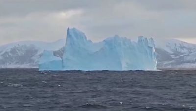 Prefectura monitorea el recorrido del iceberg que apareció cerca de Ushuaia: son siete los témpanos que flotan sin rumbo