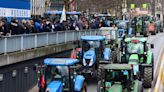 Tractors roll into Brussels in farmer protest over plans to limit nitrogen emissions