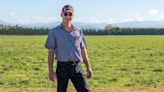 Farmer Focus: Feed shortage looks likely for New Zealand - Farmers Weekly