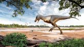Rare fossil of adolescent Tyrannosaurus – ‘Teen Rex’- found by US kids