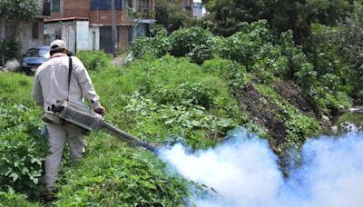 Aumentan casos de dengue en Michoacán; reportan 587 casos - Cambio de Michoacán