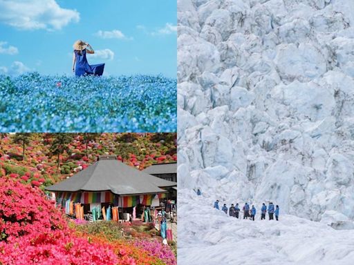 想出國？日本３大花海賞東京新百景、紐西蘭５大寶藏級景點玩到秋冬 - 玩咖Playing - 自由電子報