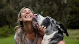 Why Does My Dog Lick Me When I Pet Her? Animal Experts Share the Surprising Reasons