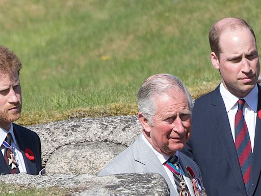 King Charles, Prince William 'shunning' Prince Harry after royal attempted to make amends: expert