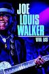 Joe Louis Walker - Viva Las Vegas Live!