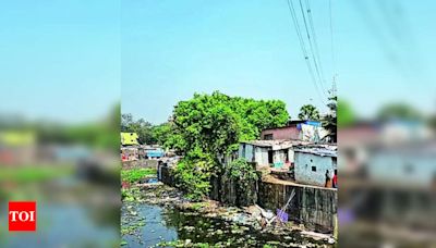 Continue ongoing demolition work for widening of Mithi river, says HC | Mumbai News - Times of India