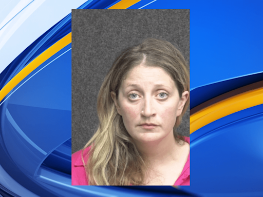 Woman, 35, charged with 11 felonies in hit and run deaths