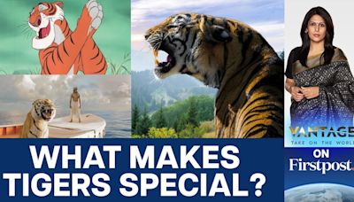 World Tiger Day: Why we Need to Protect Tigers |